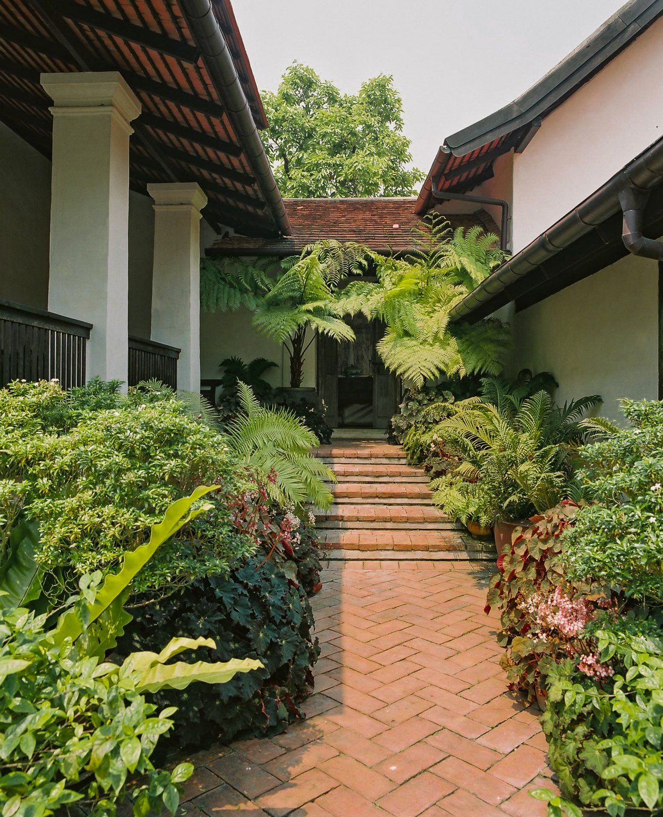 Lush garden entrance with brick pathway and tropical plants showcasing expert landscaping by Bright Valley Landscaping